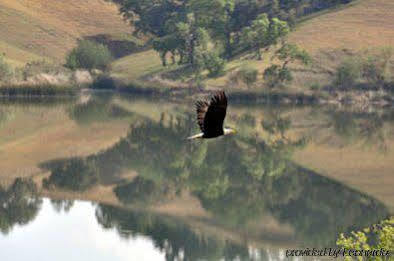 Alisal Guest Ranch & Resort Solvang Bagian luar foto
